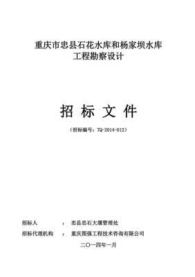 重慶某水庫(kù)工程勘察設(shè)計(jì)招標(biāo)文件——工程勘察設(shè)計(jì)專(zhuān)業(yè)分析